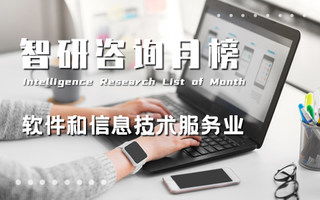 智研排行榜 洞察地區(qū)經(jīng)濟(jì)、行業(yè)與產(chǎn)品趨勢(shì)的信息技術(shù)咨詢服務(wù)